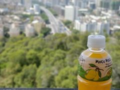 -金鸡山公园