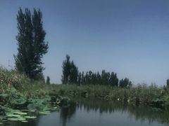 -白洋淀景区