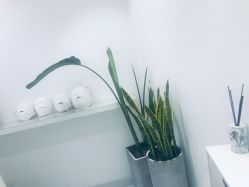 -紫御国际抗衰ZOE ANTI AGING