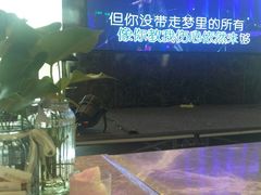 -台山颐和温泉城