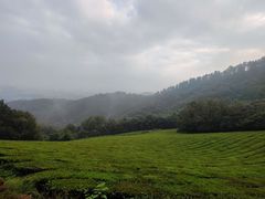 -敬亭山风景名胜区