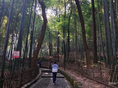 -杭州黄龙洞