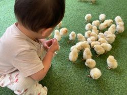 -萌宠亲子动物乐园(槐房万达店)