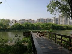 -新江湾城公园