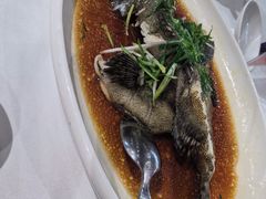 清蒸龙趸仔-稻香(汉街店)