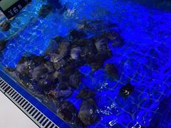 -必点蒸汽海鲜(止锚湾店)