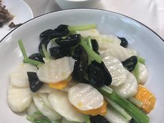 -食家鸽园