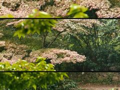-天台山景区