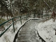 -景山公园