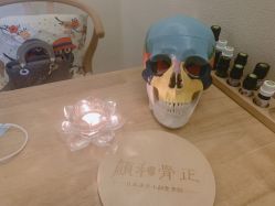 -颜和骨正·明哲式骨相美学整骨