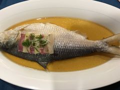 古法秘制蒸鲥鱼-麟1929(外滩店)