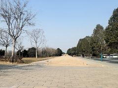 -秦始皇帝陵博物院-丽山园