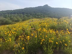 -佛慧山