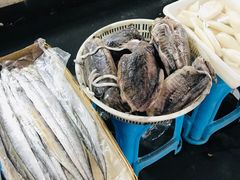 -新农都水产市场