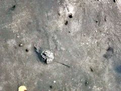 -北海金海湾红树林生态旅游区