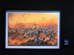 -罗红摄影艺术馆