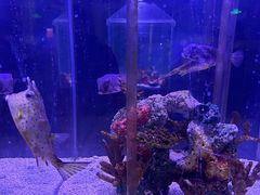 -太平洋海底世界