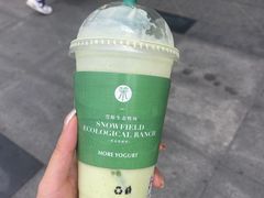 -茉酸奶(春熙路店)