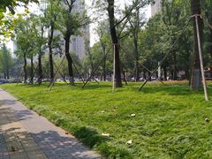 -龙头寺公园