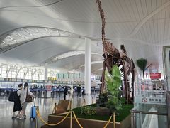-银川河东国际机场