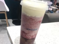 多肉葡萄-森茶(湛江万达店)