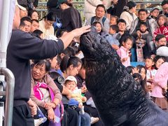 -合肥野生动物园