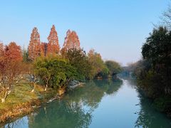 -西溪国家湿地公园