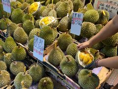 -油麻地果栏