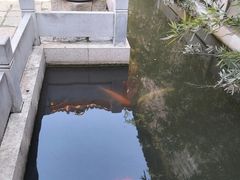 -羊楼洞