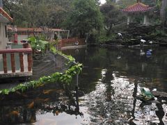 -金砂公园