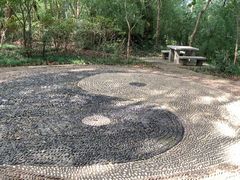 -上海佘山国家森林公园天马山园