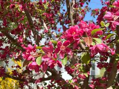 -元大都城垣遗址公园