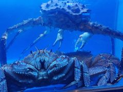 -月下料理(楷林IFC店)