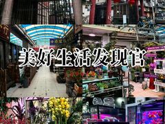 -武汉花鸟市场