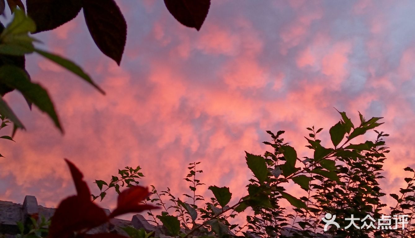 老妈今天早上拍的美丽的朝霞[愉快][强]