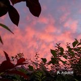 老妈今天早上拍的美丽的朝霞[愉快][强]