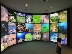 -鹿儿岛水族馆