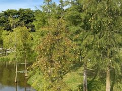 -东莞植物园