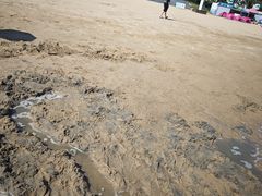 -碧海金沙