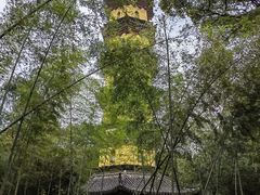 -阿育王寺