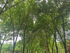 -洛阳市隋唐城遗址植物园