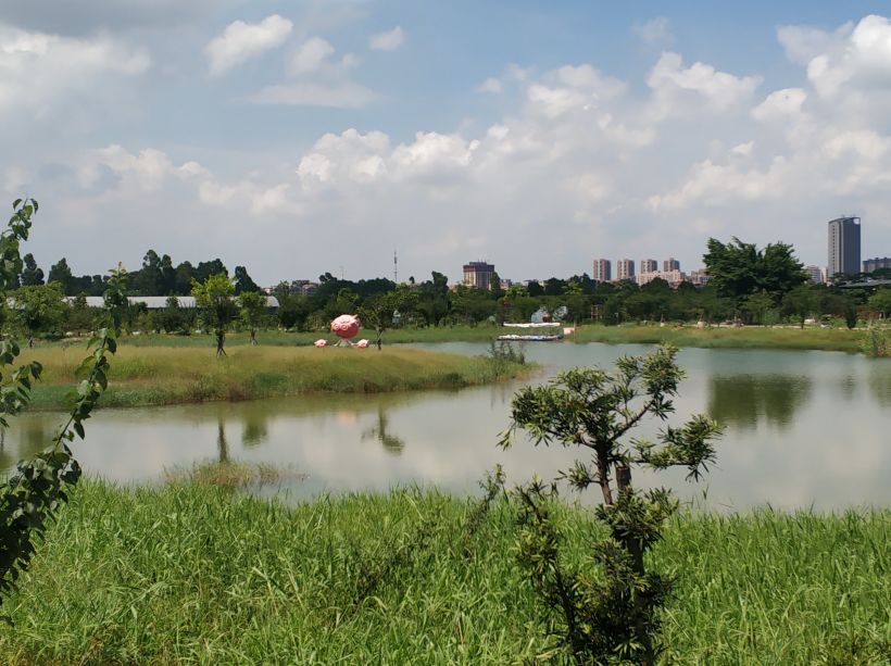 "凝聚力量 共创辉煌"——记古梅生态农业园拓展之旅-东莞吃喝玩乐