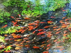 -水磨沟公园