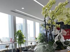 -马泷齿科·成都锦江置略马泷口腔门诊部(IFS国金中心店)