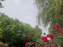 -唐城墙遗址公园