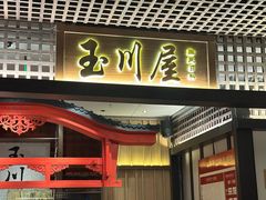 -玉川屋创意日料(北美新天地店)