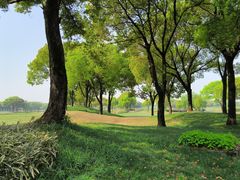 -旭宝高尔夫俱乐部