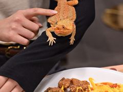 -FAIRYLAND龙族星球主题餐厅(凯丹广场店)