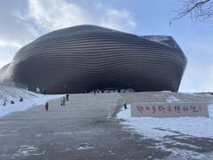 -鄂尔多斯博物馆