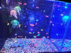 -常州海昌海洋探索馆
